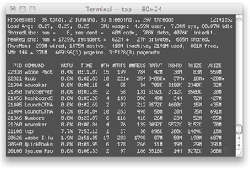 Unix Terminal